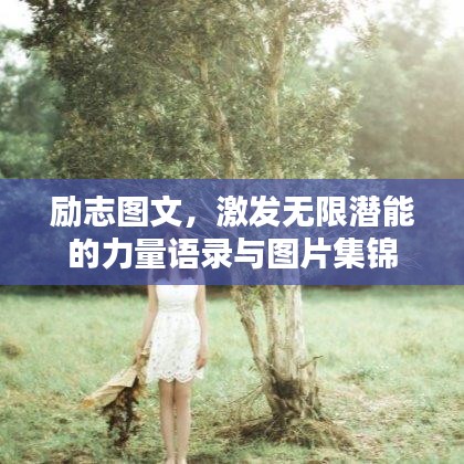 励志图文，激发无限潜能的力量语录与图片集锦