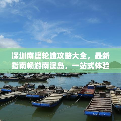 深圳南澳轮渡攻略大全，最新指南畅游南澳岛，一站式体验！