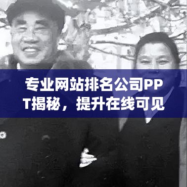 专业网站排名公司PPT揭秘，提升在线可见性，引领业务新篇章，助力企业飞速成长！