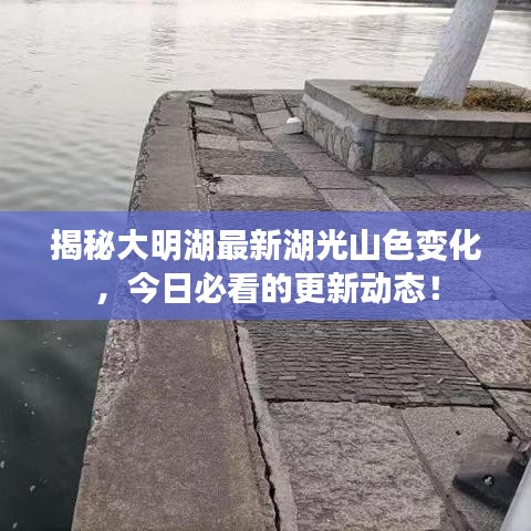 揭秘大明湖最新湖光山色变化，今日必看的更新动态！