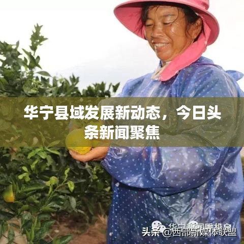 华宁县域发展新动态，今日头条新闻聚焦