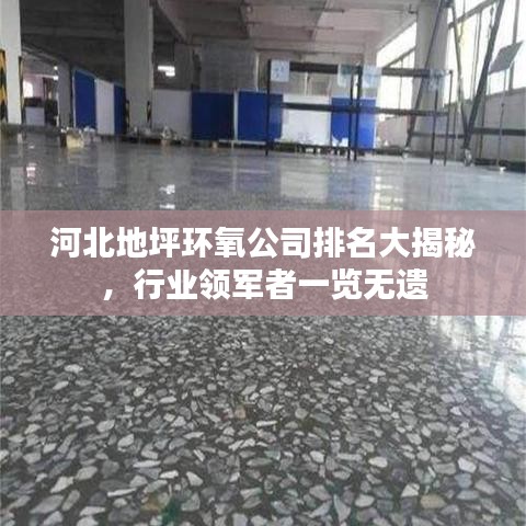 河北地坪环氧公司排名大揭秘，行业领军者一览无遗