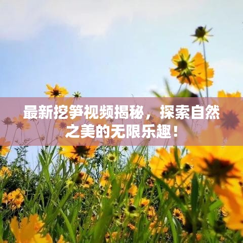 最新挖笋视频揭秘，探索自然之美的无限乐趣！