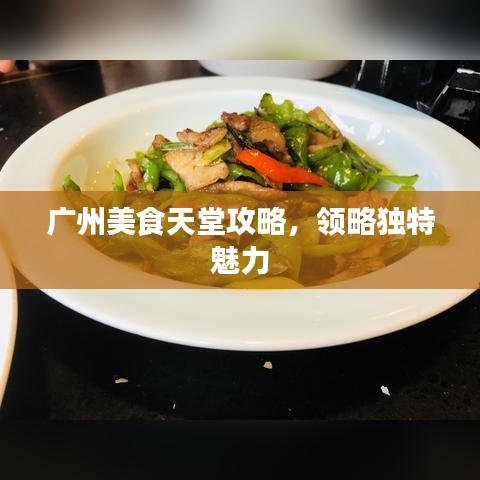 广州美食天堂攻略，领略独特魅力