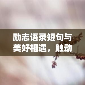 励志语录短句与美好相遇，触动心灵的励志语句