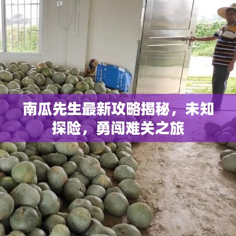 南瓜先生最新攻略揭秘，未知探险，勇闯难关之旅