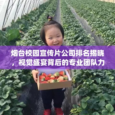 烟台校园宣传片公司排名揭晓，视觉盛宴背后的专业团队力量展示