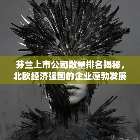 芬兰上市公司数量排名揭秘，北欧经济强国的企业蓬勃发展面貌