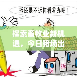 探索畜牧业新机遇，今日猪场出租信息最新发布