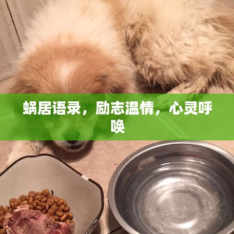 蜗居语录，励志温情，心灵呼唤