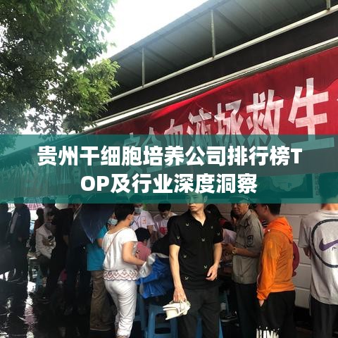 贵州干细胞培养公司排行榜TOP及行业深度洞察