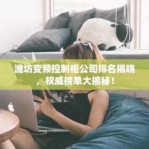 潍坊变频控制柜公司排名揭晓，权威榜单大揭秘！