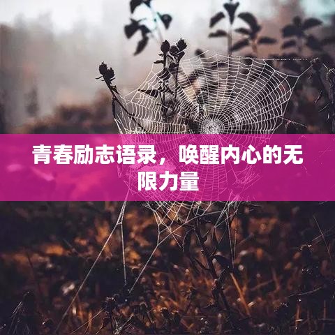 青春励志语录，唤醒内心的无限力量