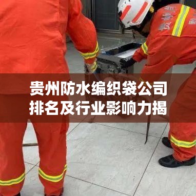 贵州防水编织袋公司排名及行业影响力揭秘，谁是行业佼佼者？