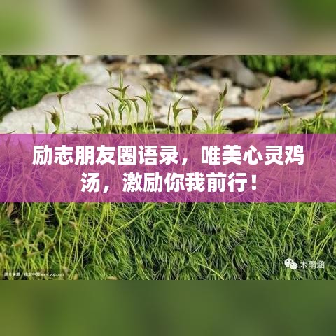 励志朋友圈语录，唯美心灵鸡汤，激励你我前行！