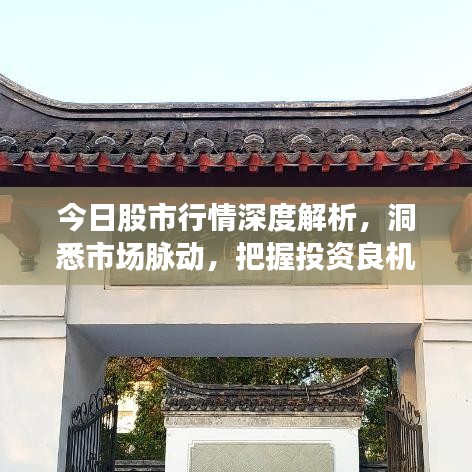 今日股市行情深度解析，洞悉市场脉动，把握投资良机