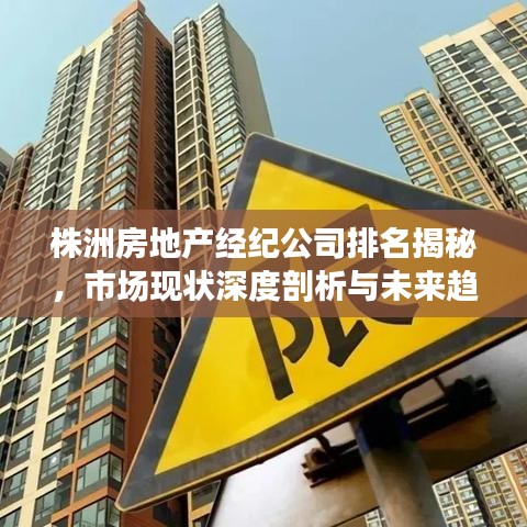株洲房地产经纪公司排名揭秘，市场现状深度剖析与未来趋势展望