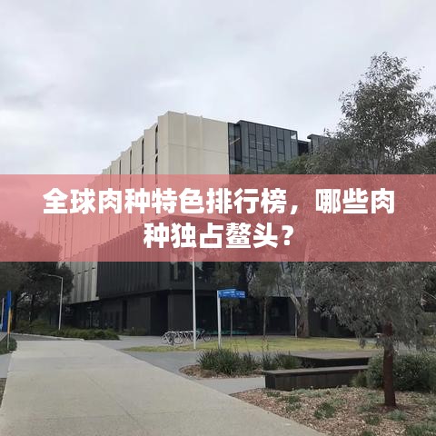 新闻中心 第92页