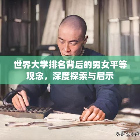 世界大学排名背后的男女平等观念，深度探索与启示