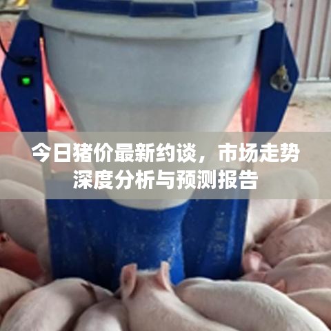 今日猪价最新约谈，市场走势深度分析与预测报告