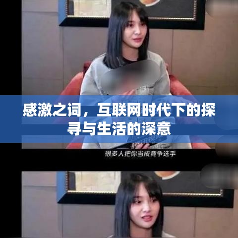 感激之词，互联网时代下的探寻与生活的深意