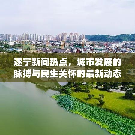 遂宁新闻热点，城市发展的脉搏与民生关怀的最新动态