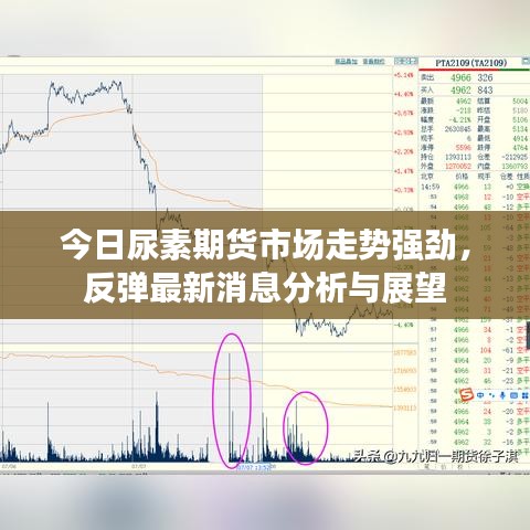 今日尿素期货市场走势强劲，反弹最新消息分析与展望