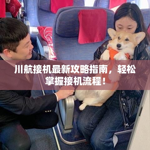 川航接机最新攻略指南，轻松掌握接机流程！