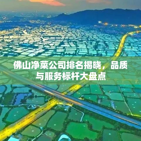 佛山净菜公司排名揭晓，品质与服务标杆大盘点