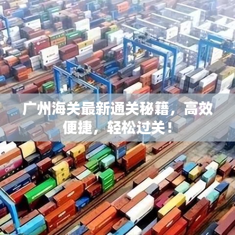 广州海关最新通关秘籍，高效便捷，轻松过关！