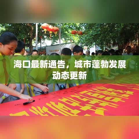 海口最新通告，城市蓬勃发展动态更新