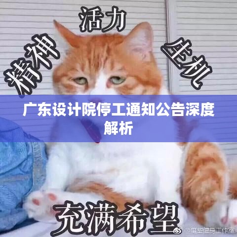 广东设计院停工通知公告深度解析
