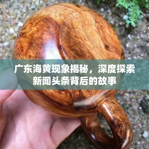 广东海黄现象揭秘，深度探索新闻头条背后的故事