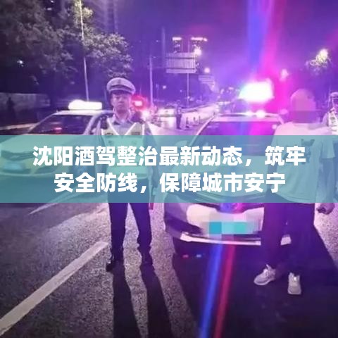 沈阳酒驾整治最新动态，筑牢安全防线，保障城市安宁