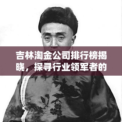 吉林淘金公司排行榜揭晓，探寻行业领军者的脚步，引领行业趋势！