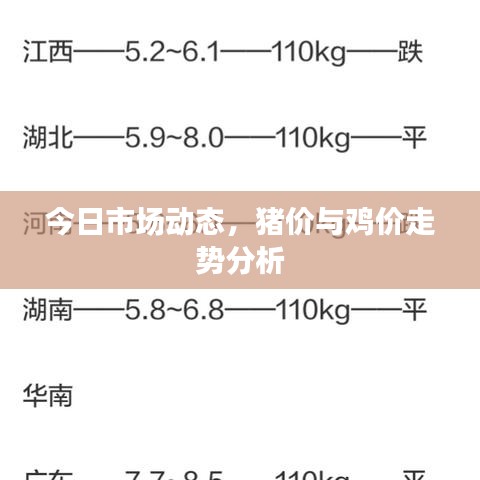 今日市场动态，猪价与鸡价走势分析