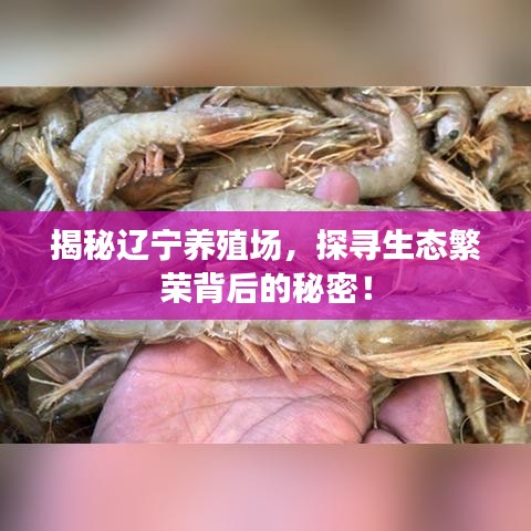揭秘辽宁养殖场，探寻生态繁荣背后的秘密！
