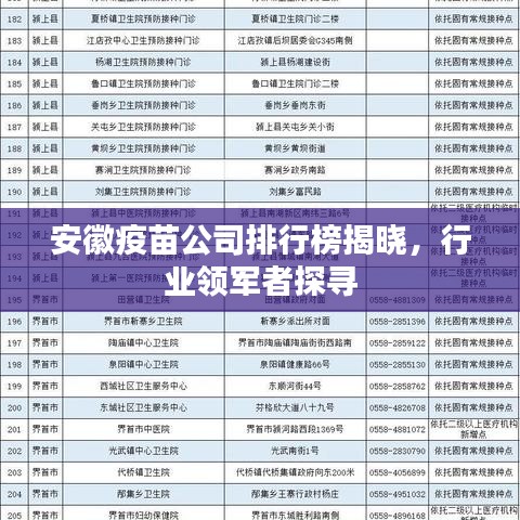 安徽疫苗公司排行榜揭晓，行业领军者探寻