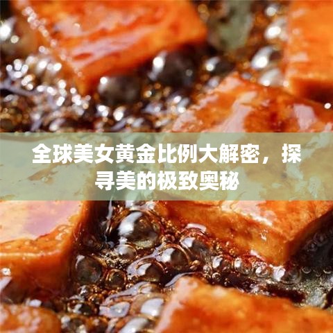 全球美女黄金比例大解密，探寻美的极致奥秘