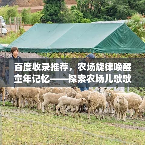 百度收录推荐，农场旋律唤醒童年记忆——探索农场儿歌歌词的魅力