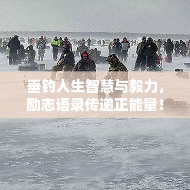 垂钓人生智慧与毅力，励志语录传递正能量！