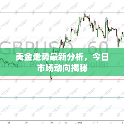 美金走势最新分析，今日市场动向揭秘