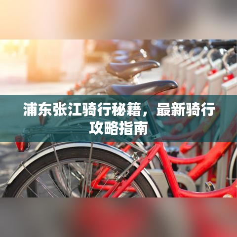 浦东张江骑行秘籍，最新骑行攻略指南