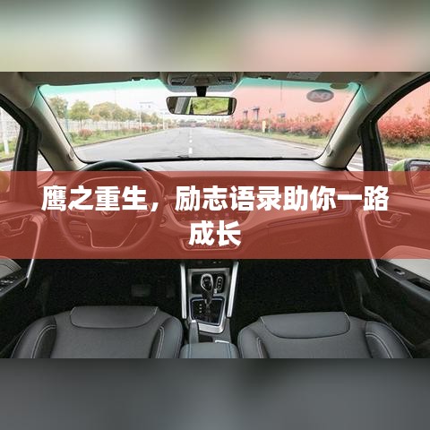 鹰之重生，励志语录助你一路成长