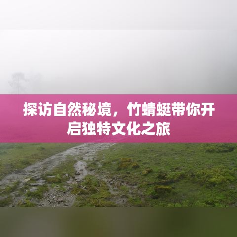 探访自然秘境，竹蜻蜓带你开启独特文化之旅
