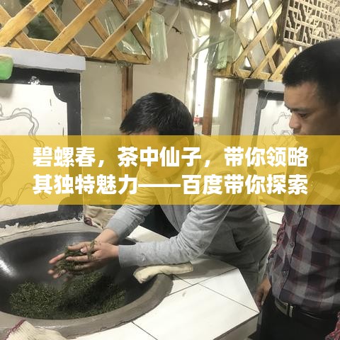 碧螺春，茶中仙子，带你领略其独特魅力——百度带你探索茶道之美