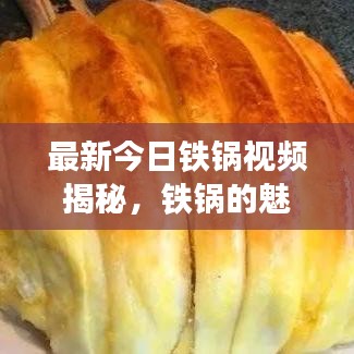 最新今日铁锅视频揭秘，铁锅的魅力与实用功能探究