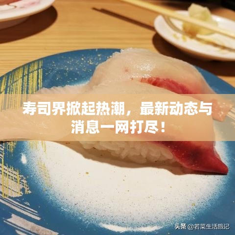 寿司界掀起热潮，最新动态与消息一网打尽！
