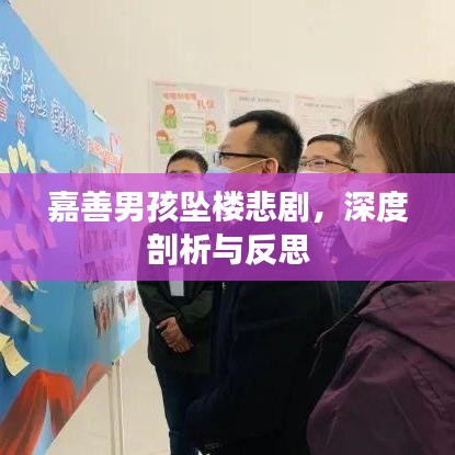 嘉善男孩坠楼悲剧，深度剖析与反思