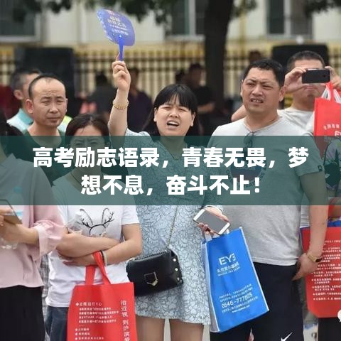 高考励志语录，青春无畏，梦想不息，奋斗不止！